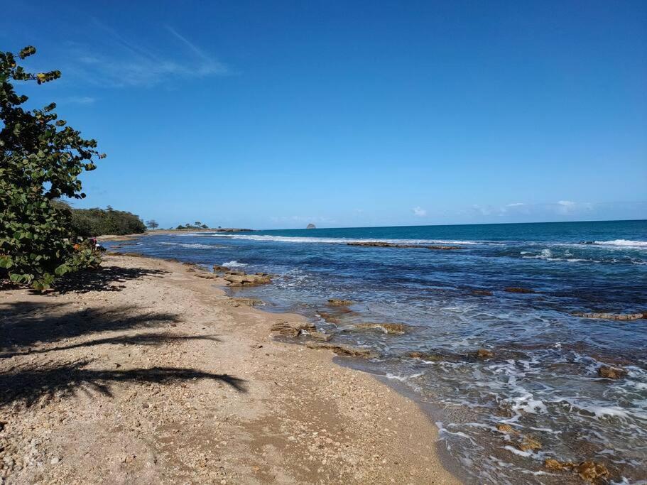 Haut De Villa Avec Vue Sur La Mer سانت-روز المظهر الخارجي الصورة