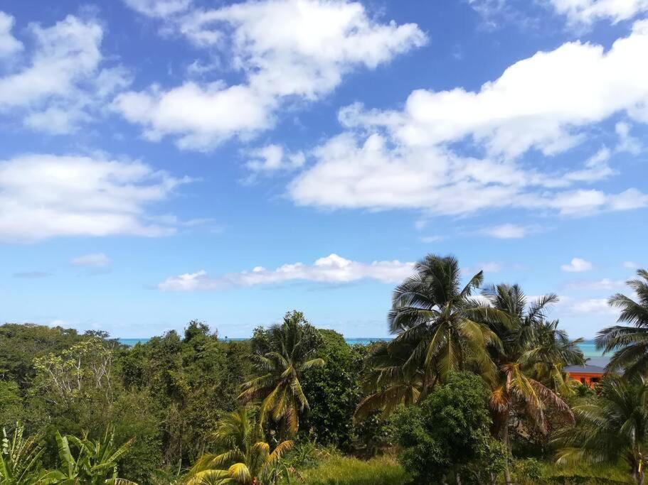 Haut De Villa Avec Vue Sur La Mer سانت-روز المظهر الخارجي الصورة